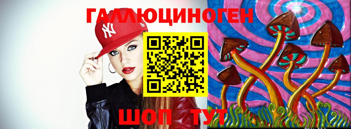 Галлюциногенные грибы GOLDEN TEACHER Новороссийск