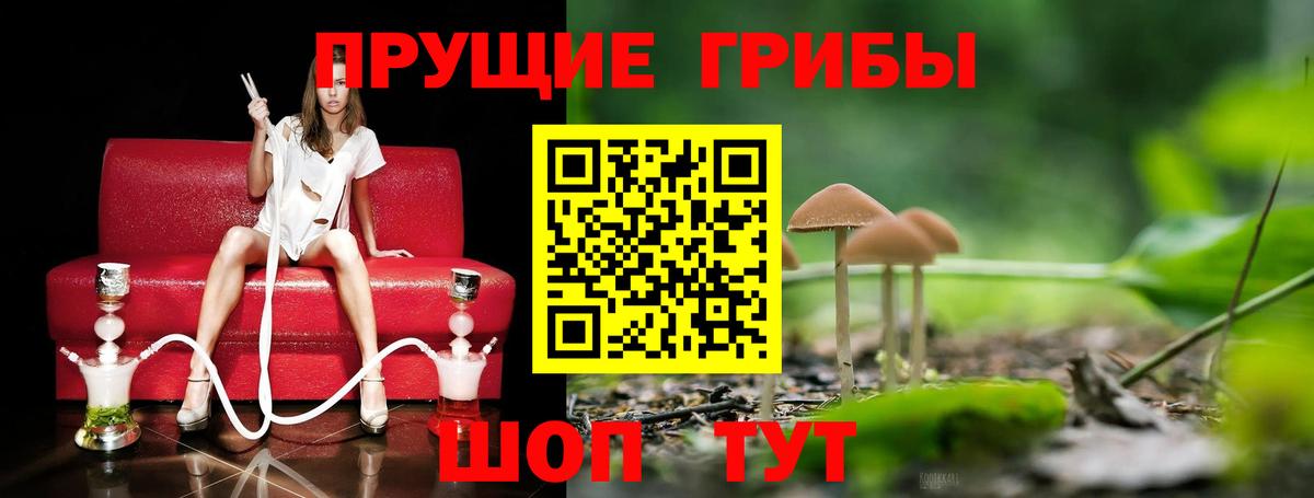 Новороссийск  Псилоцибиновые грибы мицелий  Галлюциногенные грибы мухоморы  Вход с VPN 